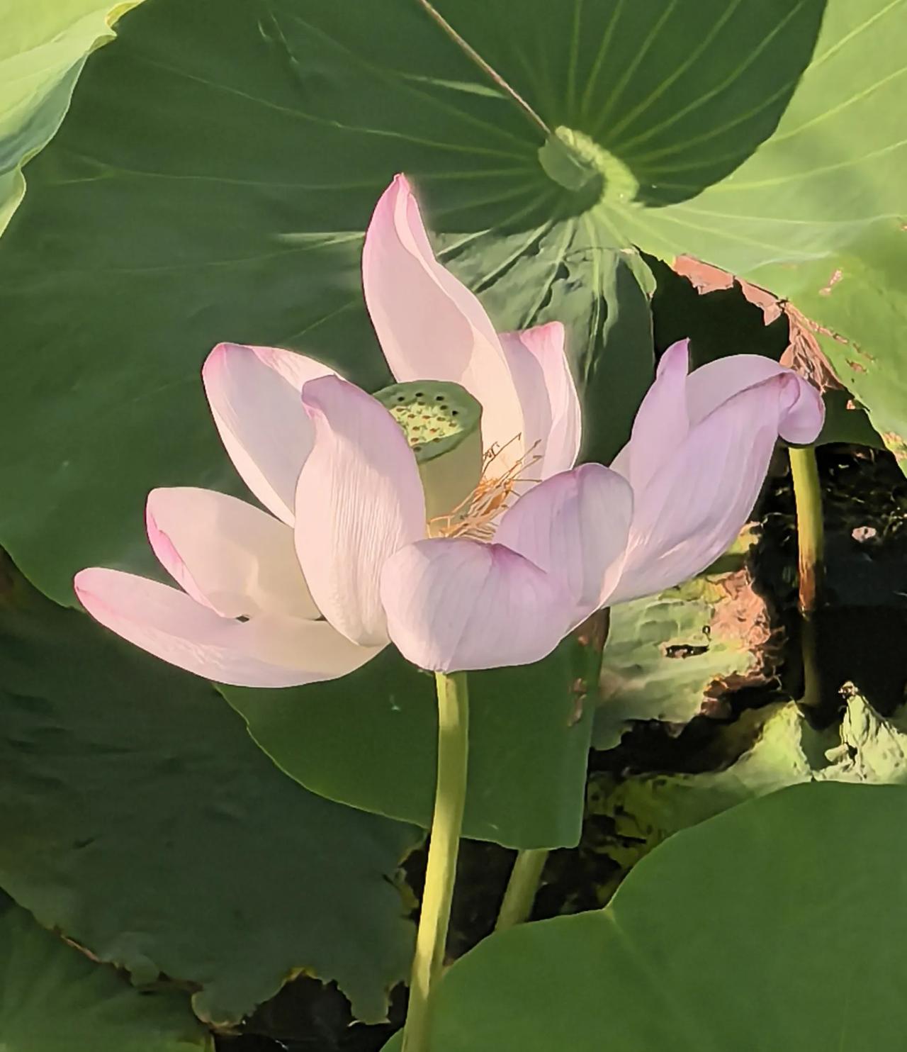 往事（不）堪回首