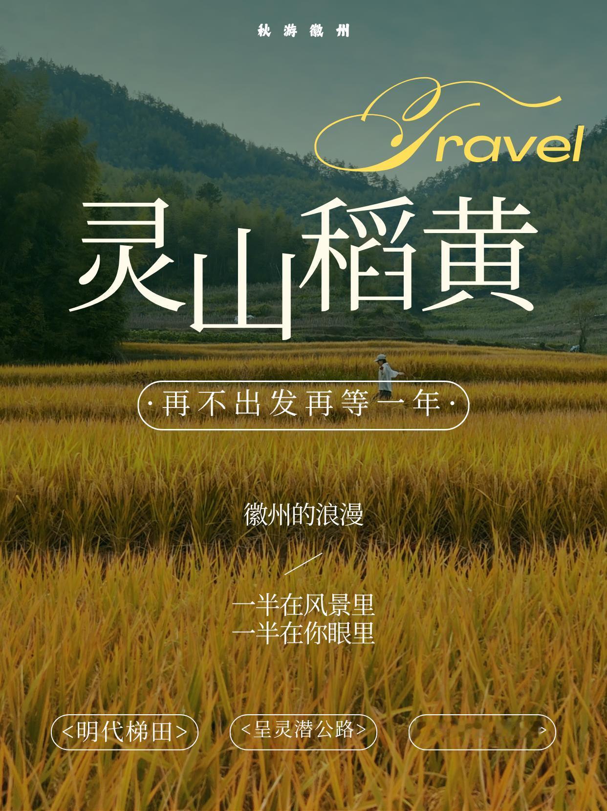 十月灵山，邂逅一场大地的鎏金盛宴！ | 皖美秋日

灵山梯田 嗨徽州