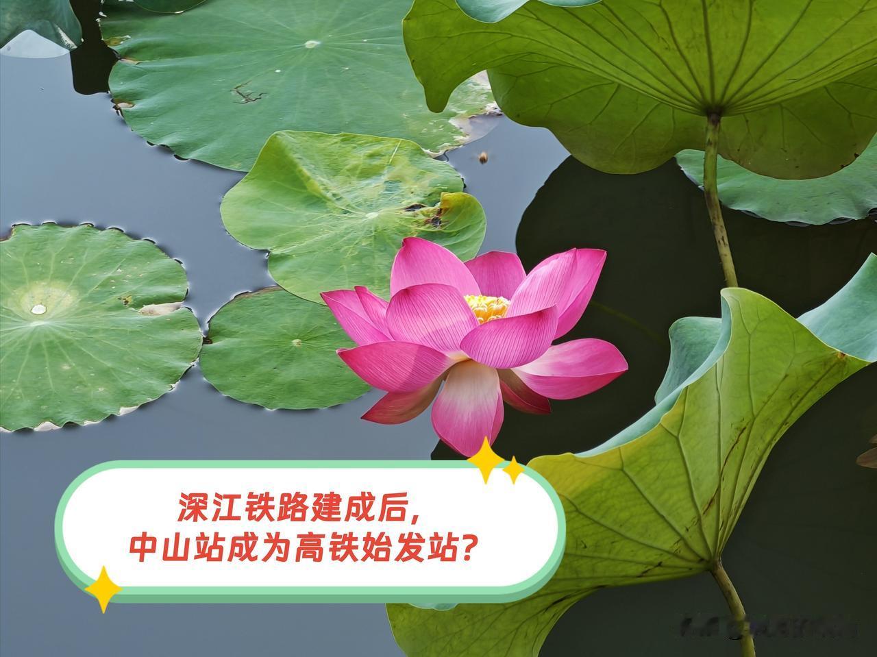 近期去过中山站的网友或许都会留意到，中山站的改扩建工程正热火朝天地开展着。这预示