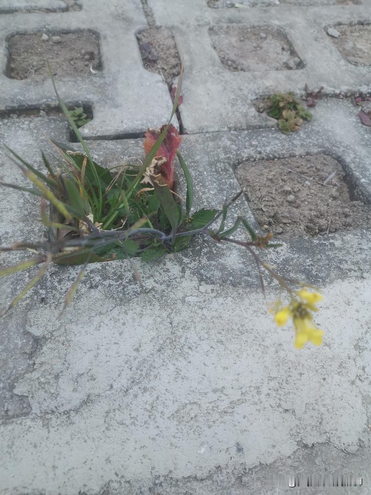 冬日生活打卡季