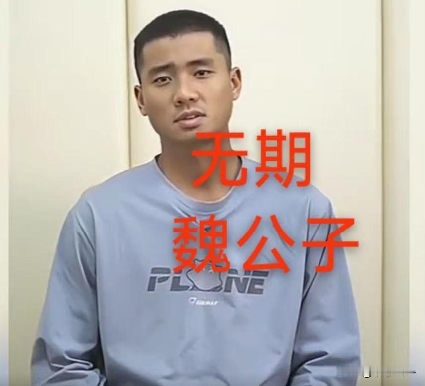 被判无期的“魏公子”魏青涛，祖上可以说是江苏南京柳树大板桥的吗，这是什么地方，也