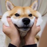 暖心嫩侃科技