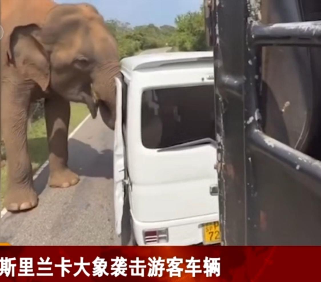 在斯里兰卡的一条公路上，一头野生大象突然袭击了一辆载着游客的白色面包车。它用巨大