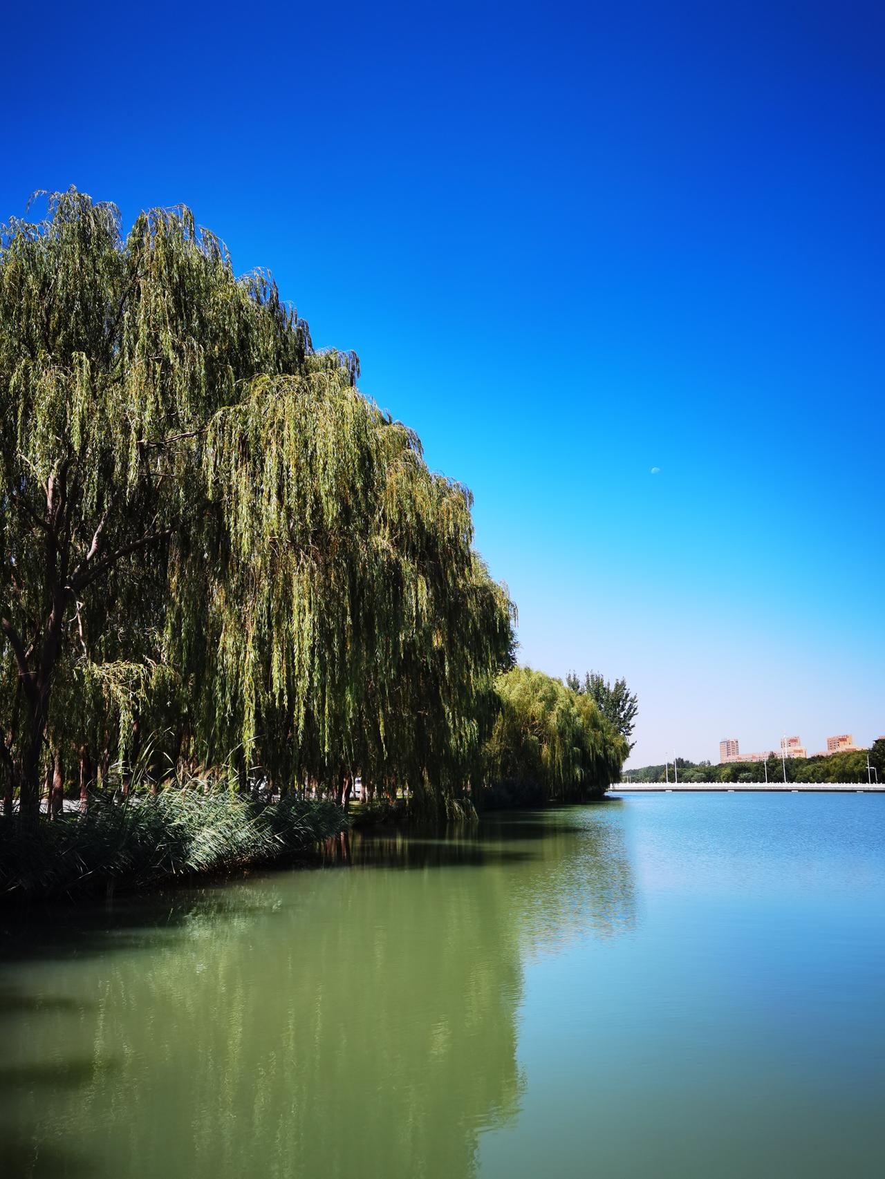 一条观光渠
看着像片湖
虽是人工挖
承载众乐乐