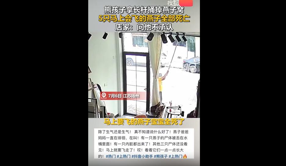 7月6日，江苏扬州。店主薛女士外出吃饭，就短短一会儿的功夫，自家屋檐下好好的燕窝
