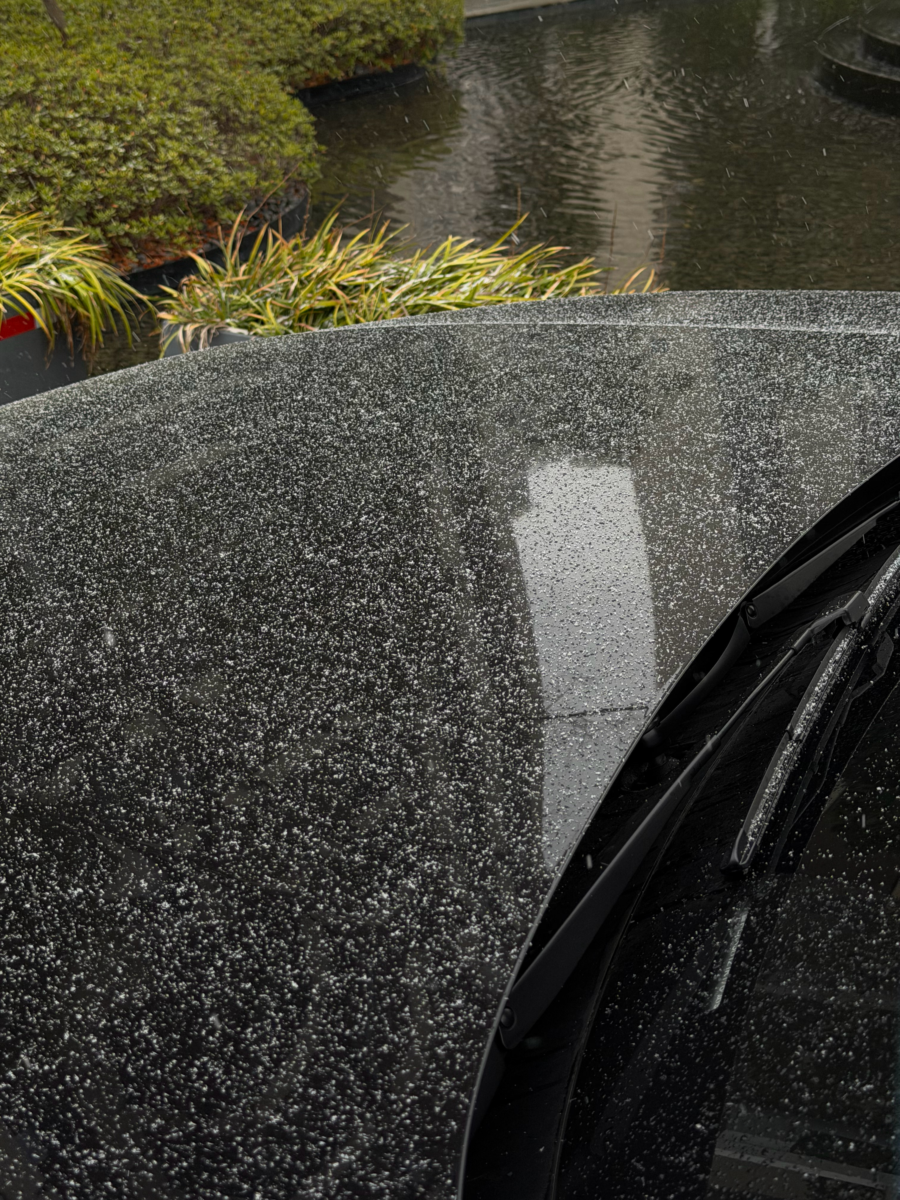 早上好啊，苏州也下雪了 苏州