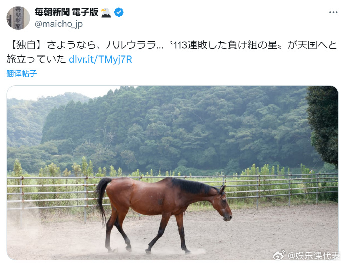 乌拉拉原型马去世 据日媒，《赛马娘》乌拉拉的原型马于9月9日凌晨去世[蜡烛]​​