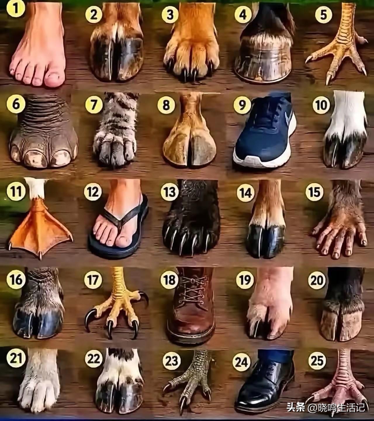 据说还没有人能认全，不信来看看吧。