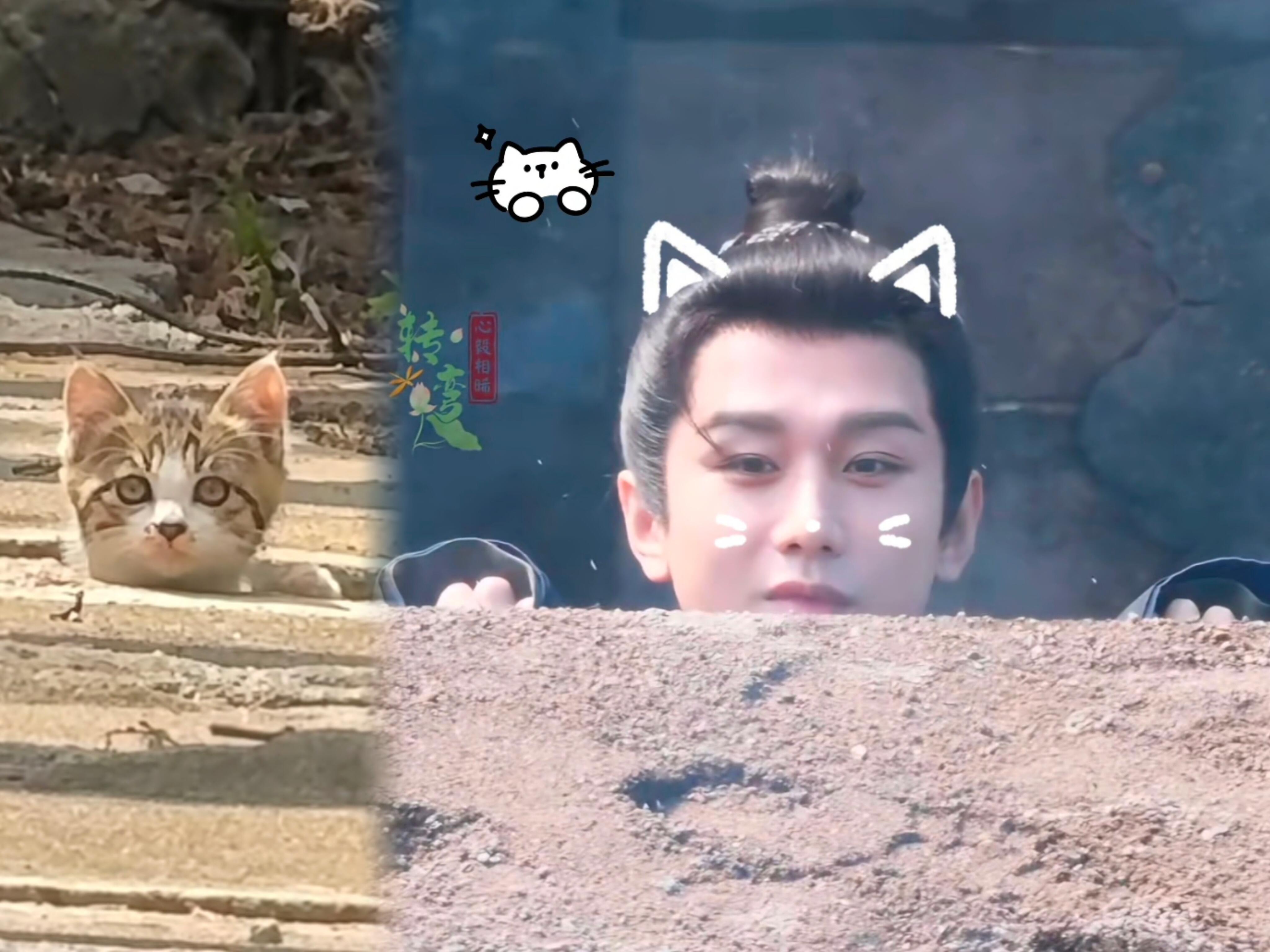 起猛了，看到地上长猫了。 