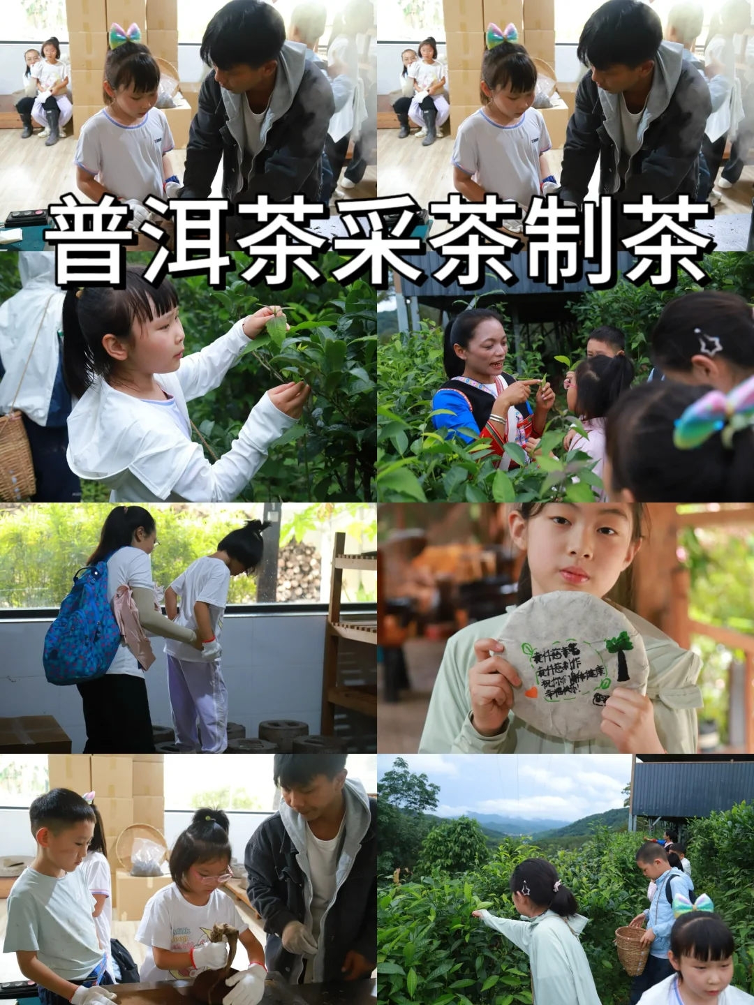 刚回 不踩雷推荐 西双版纳亲子游学6日