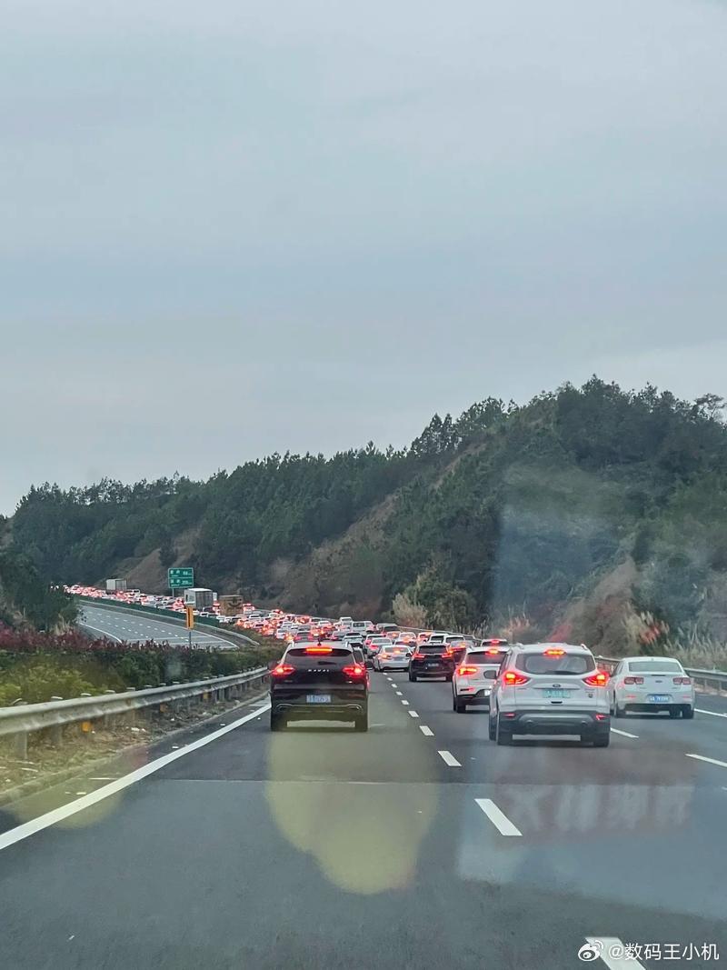 清明前一天出发的大聪明堵在高速上是的，很多人请假提前出发就是为了这一刻堵在高速上