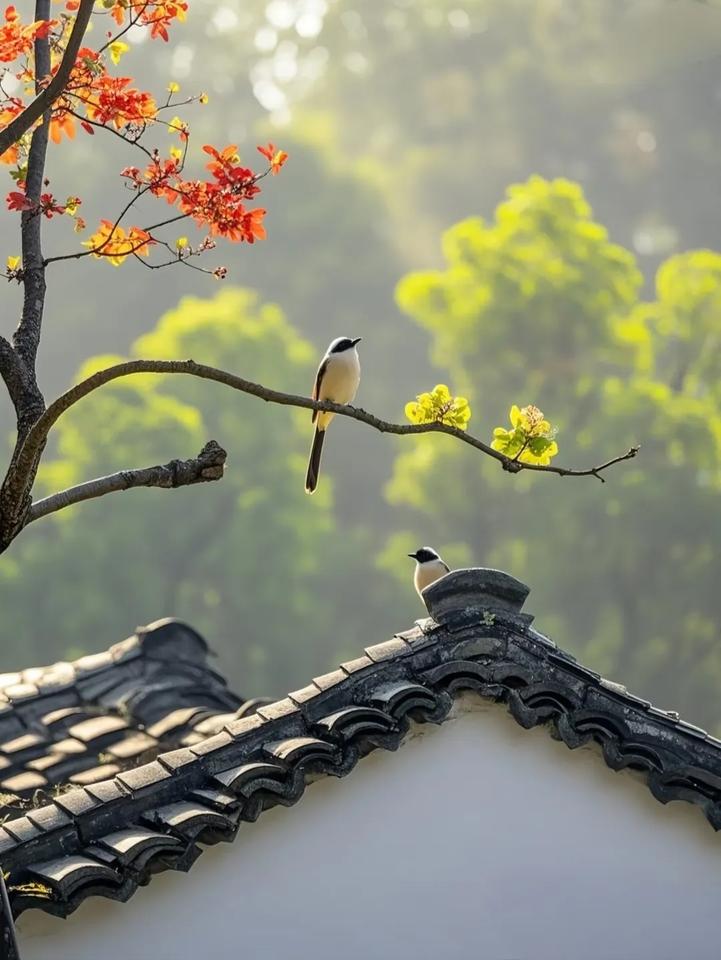 家人们，我前几天写微头条简直写上头了！写着写着还收到头条的各种激励，什么妙笔生花