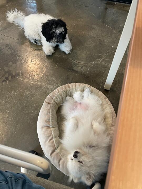 地位一目了然了