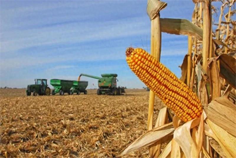 跟一个在券商做自营盘的朋友聊天，他凌晨被一个紧急电话会议吼醒了。隔着听筒我都能感