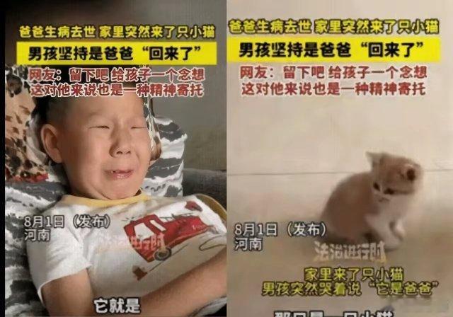 破防了，破防了，​科学都无法解释清楚了！​爸爸去世半年后，河南男孩家来了只缺耳朵