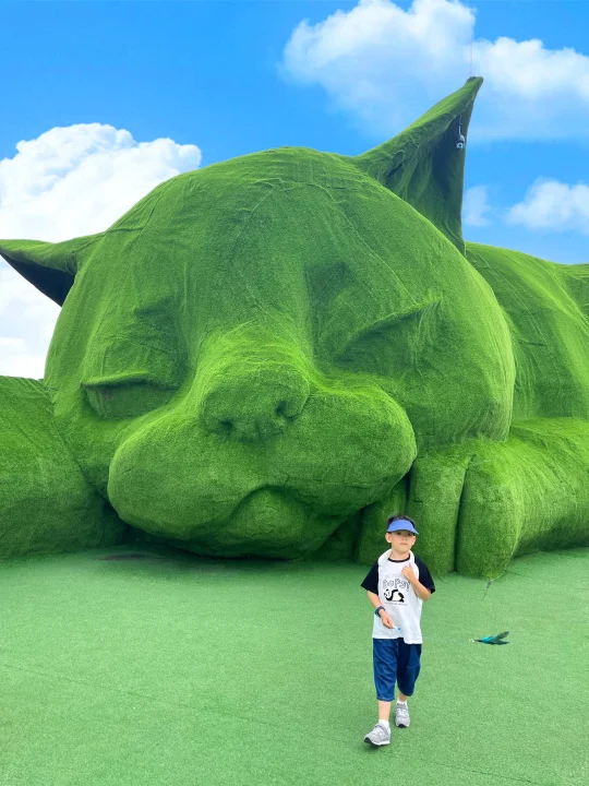 🐈肥猫岛 | 一秒进入宫崎骏的童话世界💚