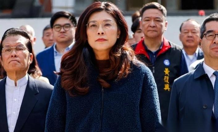 松山机场涌进大批抗议者闹事，近百警力出动维安！很多人以为台独势力声势浩大。错了！