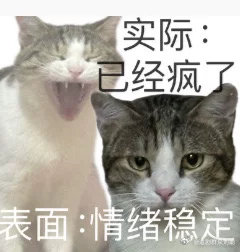 全球热没有抢到票谁来救救全球热肖战大麦演唱会想看人数历史总榜第4 ​​​
