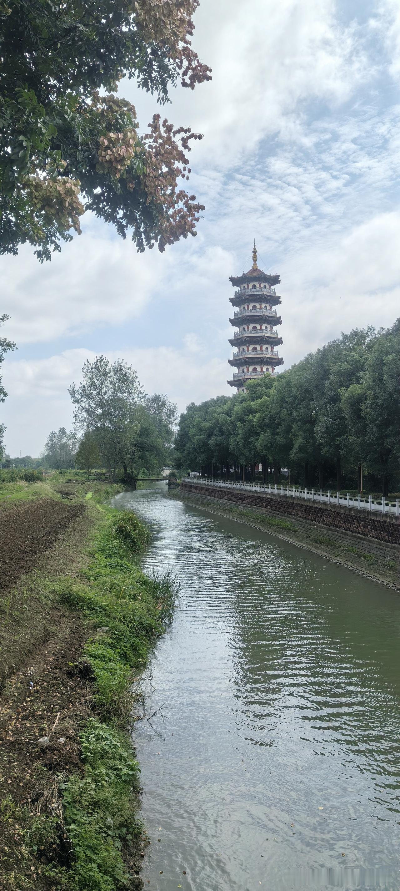 关心我家队友身体健康的人真多。

昨天，队友接到一个电话☎，让他去我们买的房子小