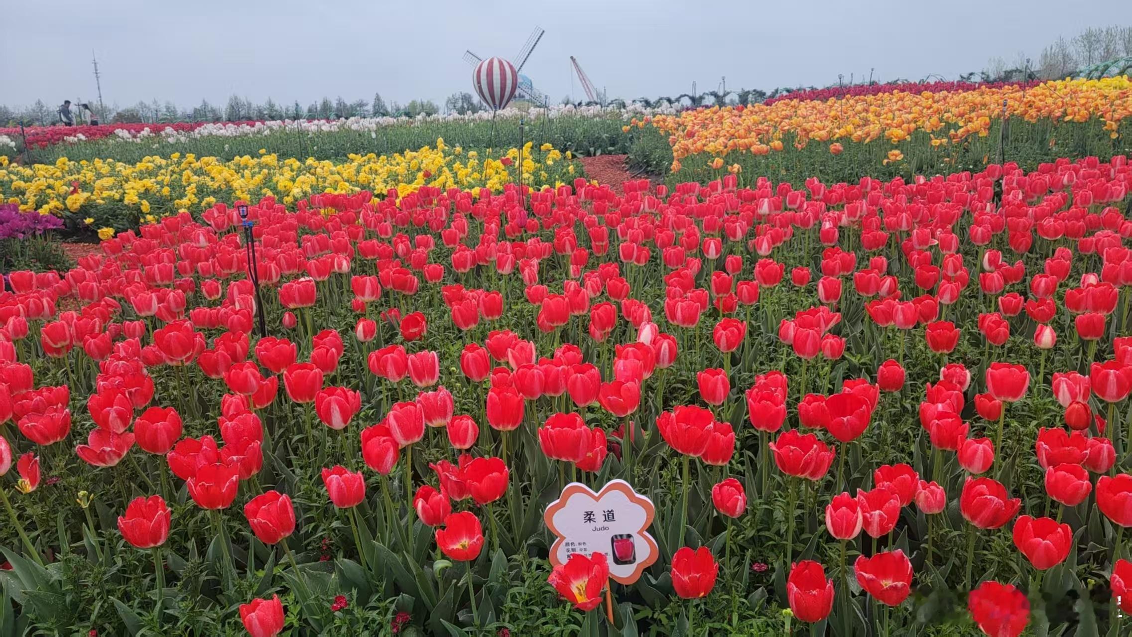 缘，是一眼的欢喜；情，是一生的惦记；爱，是一世的认定。缘若近，心就不远；情若真，