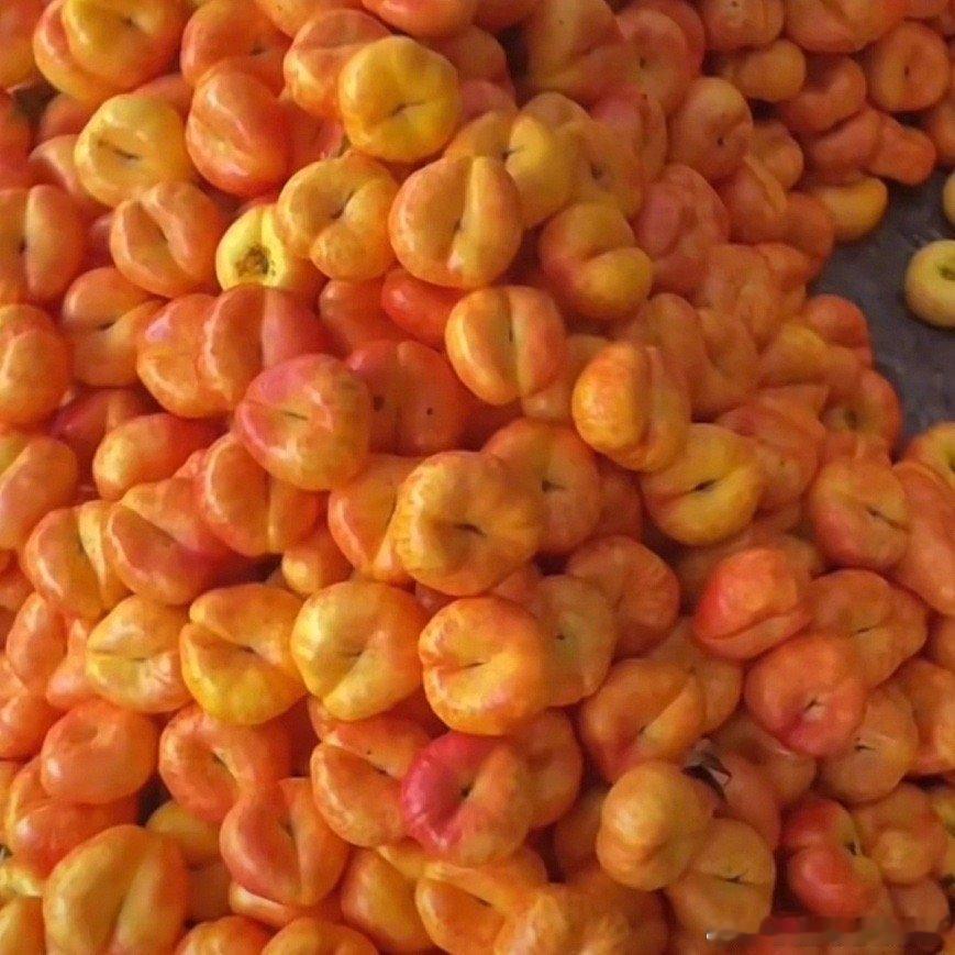 #山东的桃子已经离谱到这种程度了吗#感觉山东的桃子真的是给了我很大的震撼，尤其是