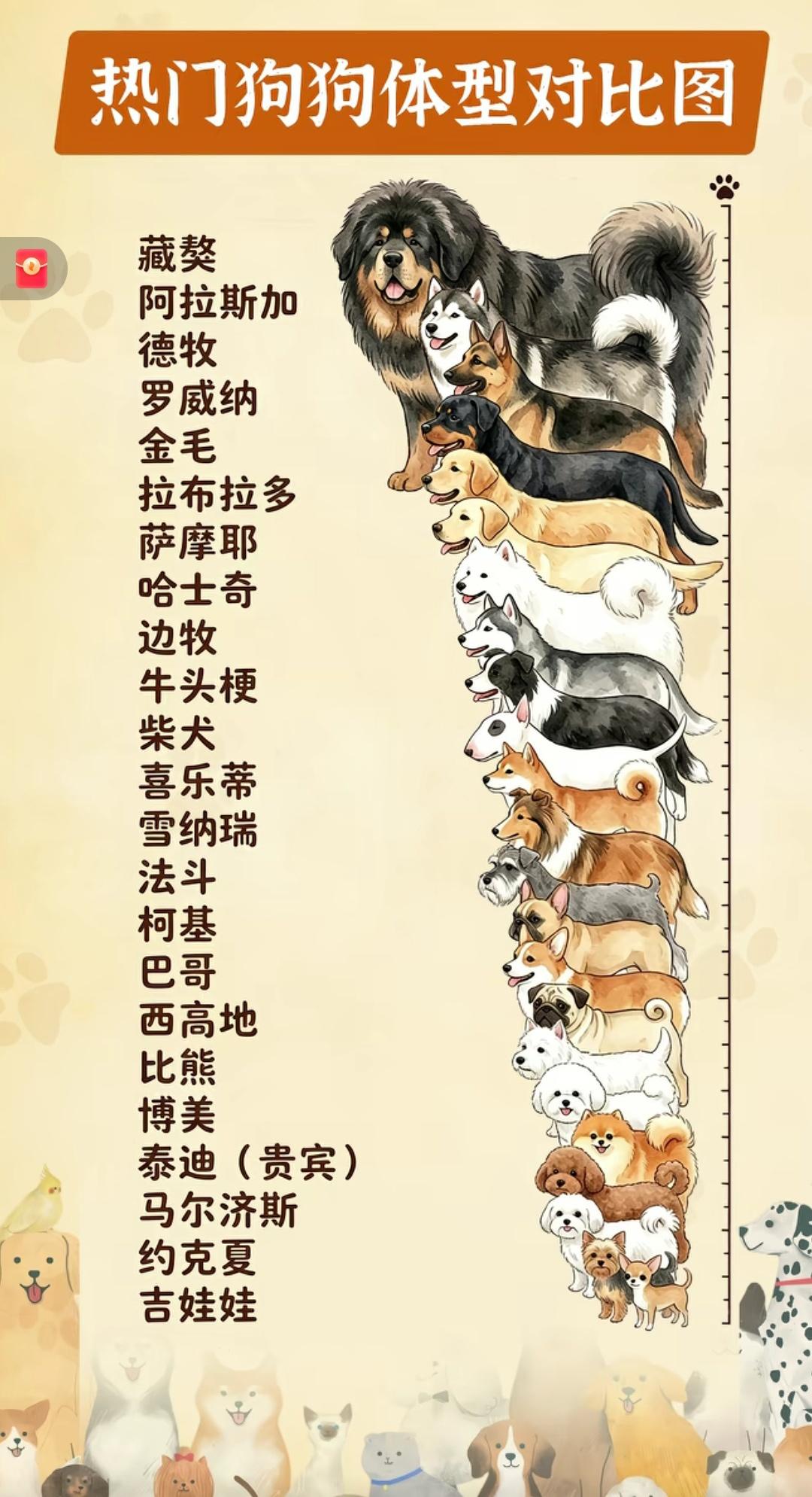 犬类真是最神奇的动物，如此天差地别的体型，竟然是由同一个祖先培育而来！
   犬