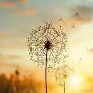 山再高，也挡不住太阳；树再大，也遮不住阳光，一个人什么都可以忘，但不能忘了自己是