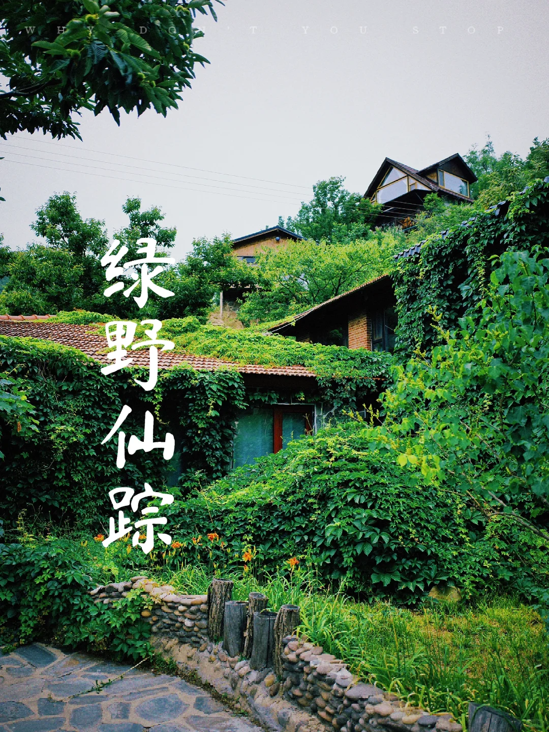 现实版的绿野仙踪｜水岸山吧