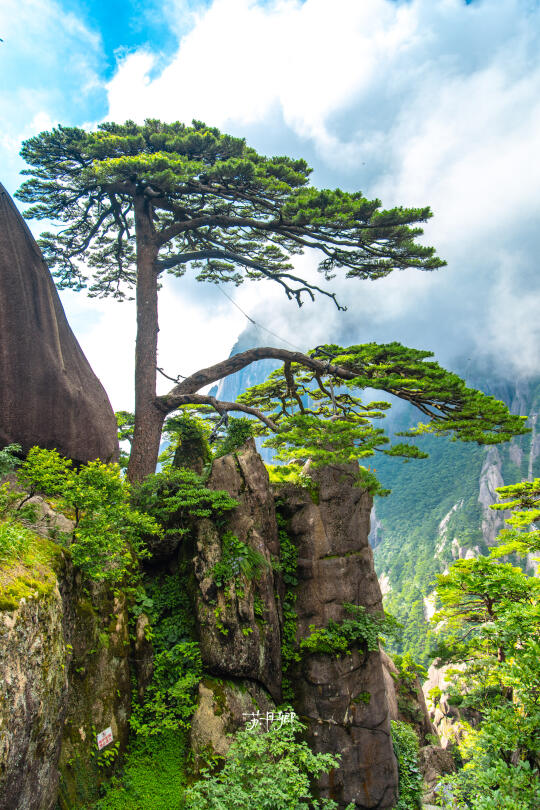 没人疼就去爬黄山｜爬完浑身疼｜附详细攻略