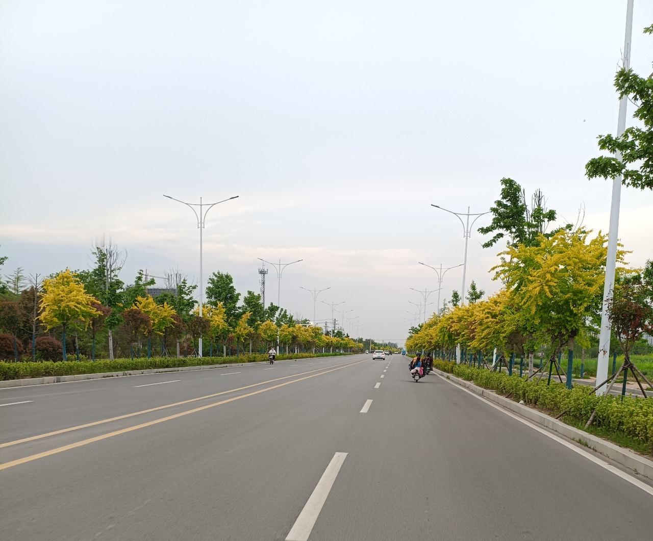 曹县昆仑山路(闽江路—珠江路)绿植

2026年4月26日18点左右拍摄
