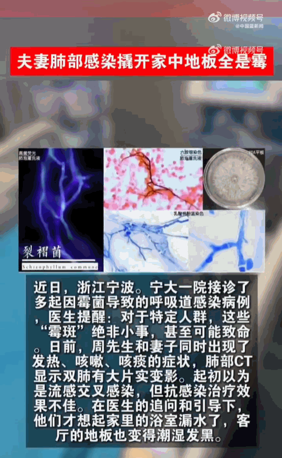 “真是让人想象不到！”6月21日大象新闻报道，浙江宁波，周先生和妻子怎么也想不到
