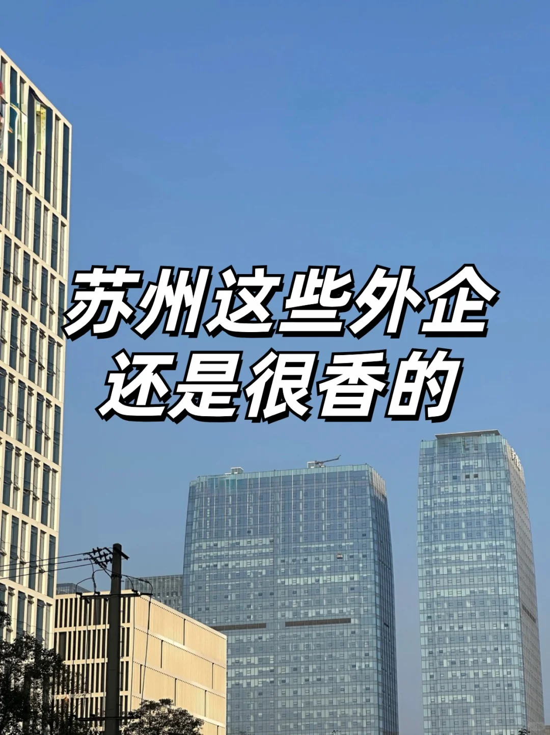苏州这些外企还是很香的