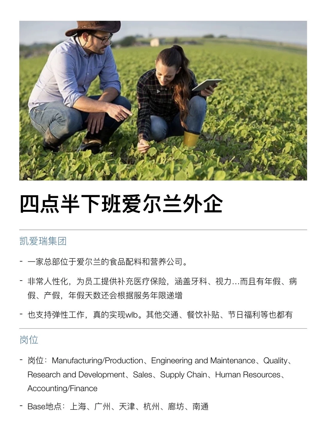 四点半下班的爱尔兰外企，真的没人想来吗