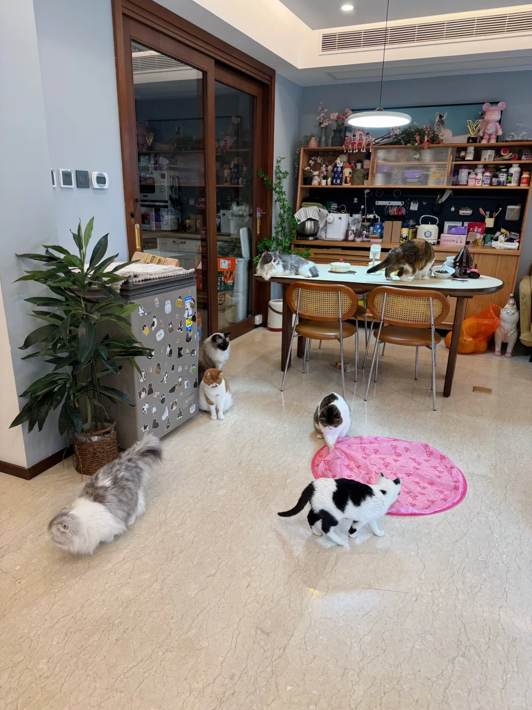小朋友们都在有序地排队等候玩球球