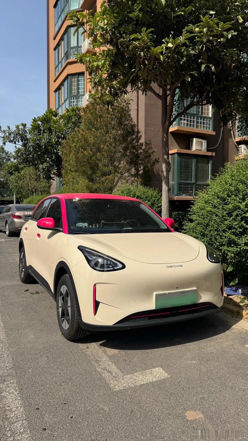 中汽数研上半年纯电榜吉利星愿19.42万辆夺冠把Model Y压第二，星愿才6.