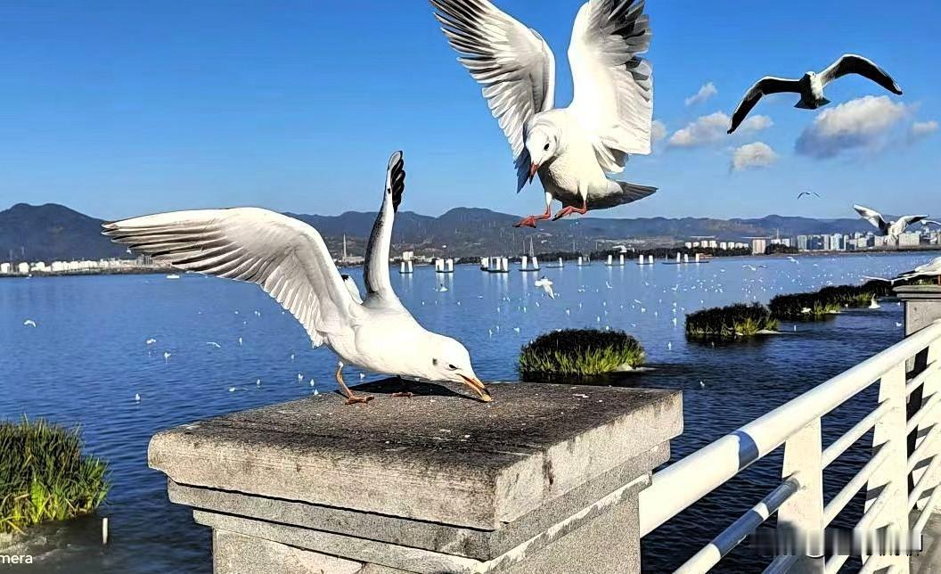 这个话题我年少时就说，现在我准备退休了，估计十年后有没有希望，估计也不大，毕竟就