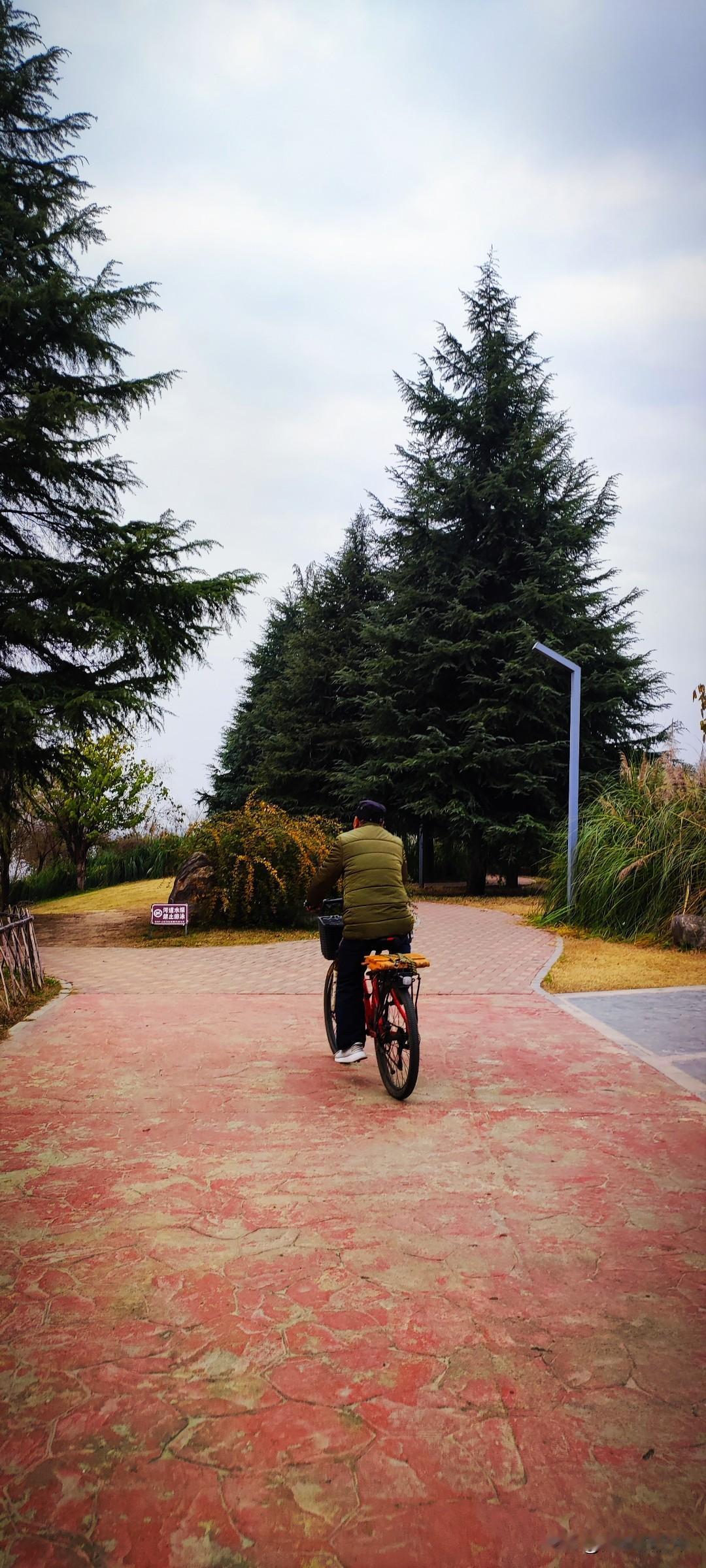 冬日生活打卡季城里的大爷，阴天也要骑着自行车去江边溜达着，找老伙计聊天混心慌。望