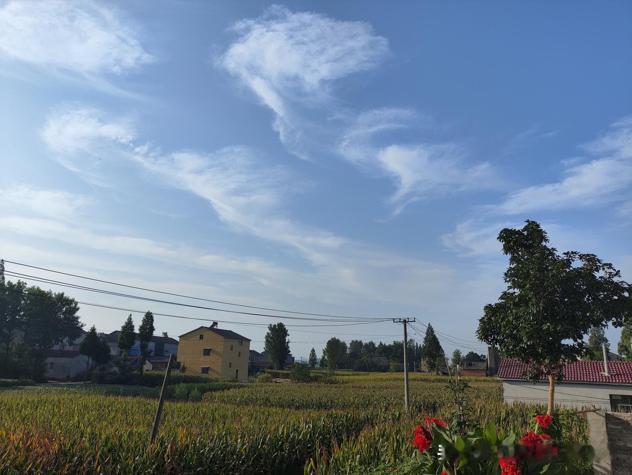 蓝天白云
万里无云
太好了绝美随手拍天空 天空风景美照 随拍天空风景 
继续三伏