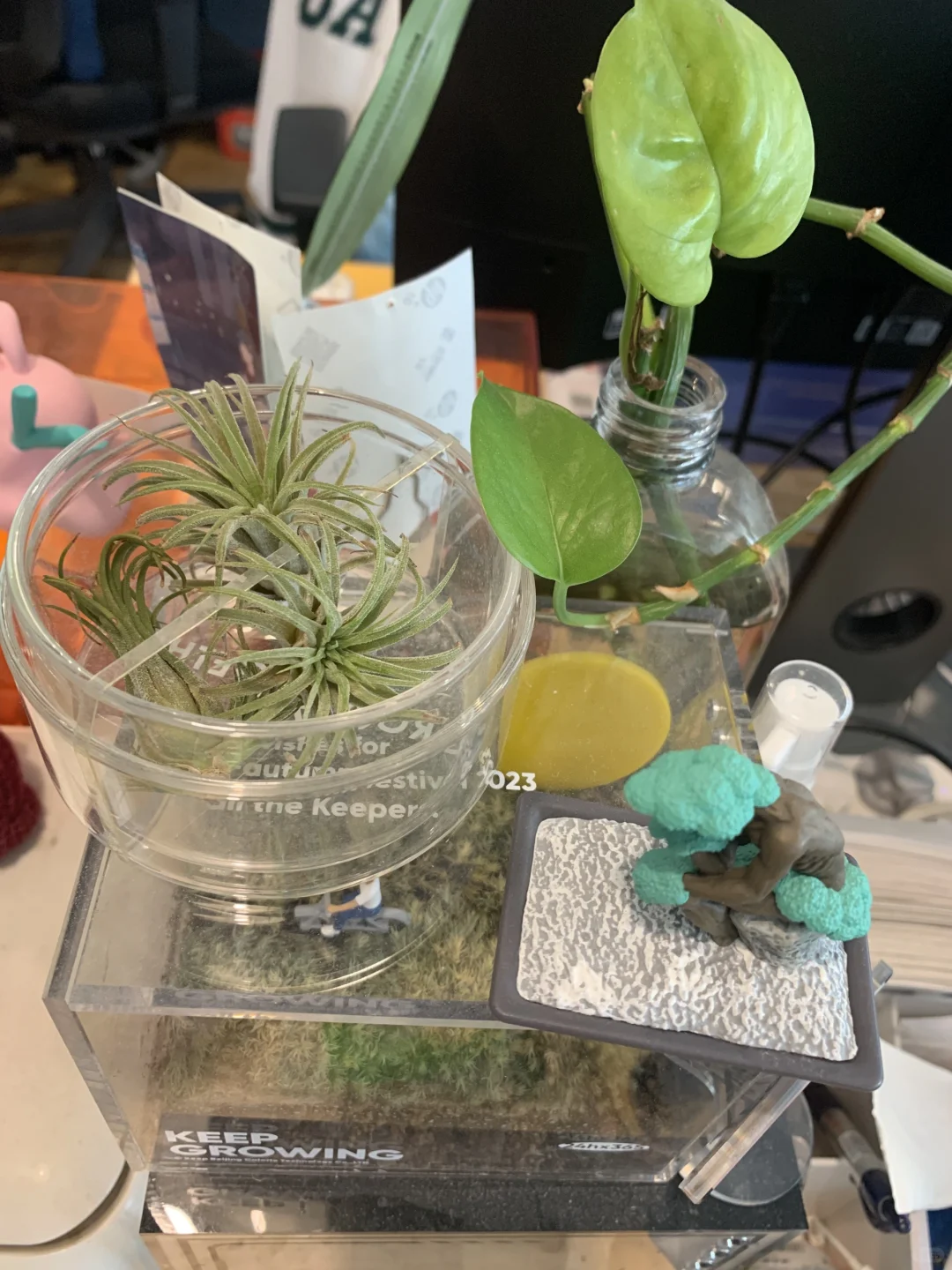 有厦门的行政吗？厦门的