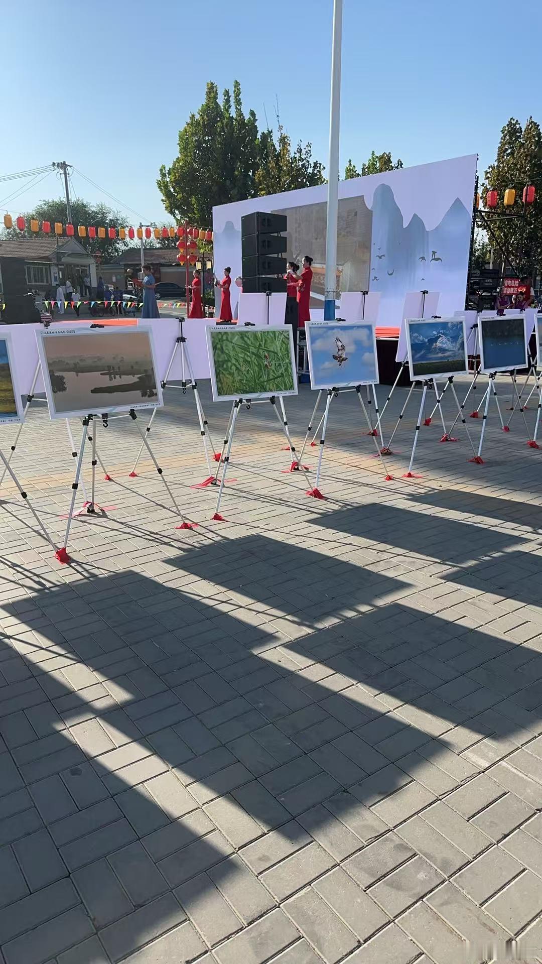 大美武清精彩畅游 天津市武清区李大人庄村将闲置的农房改造成为设计精美、风格各异的