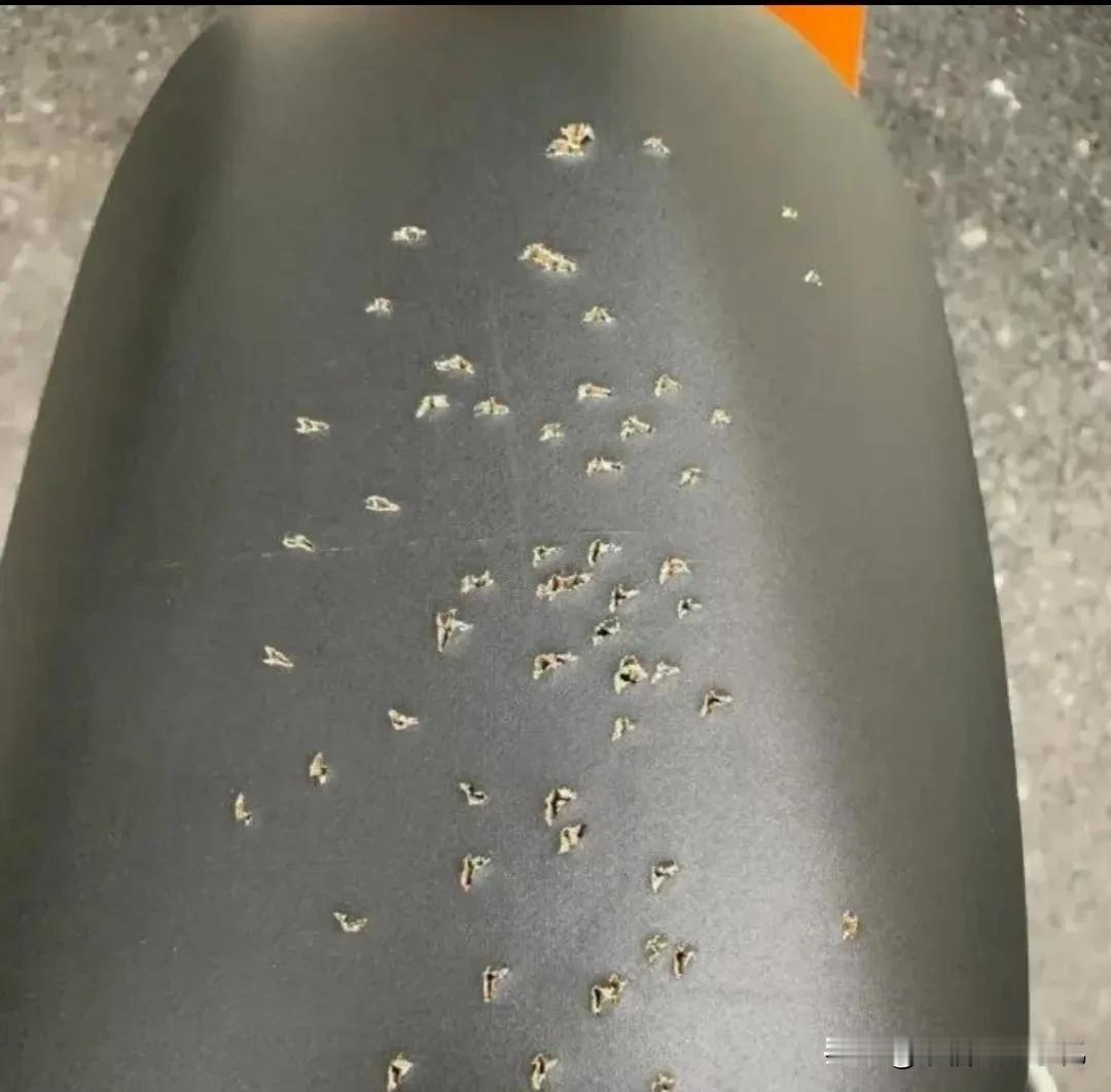 今天去骑共享单车，谁能解释一下这怎么回事？