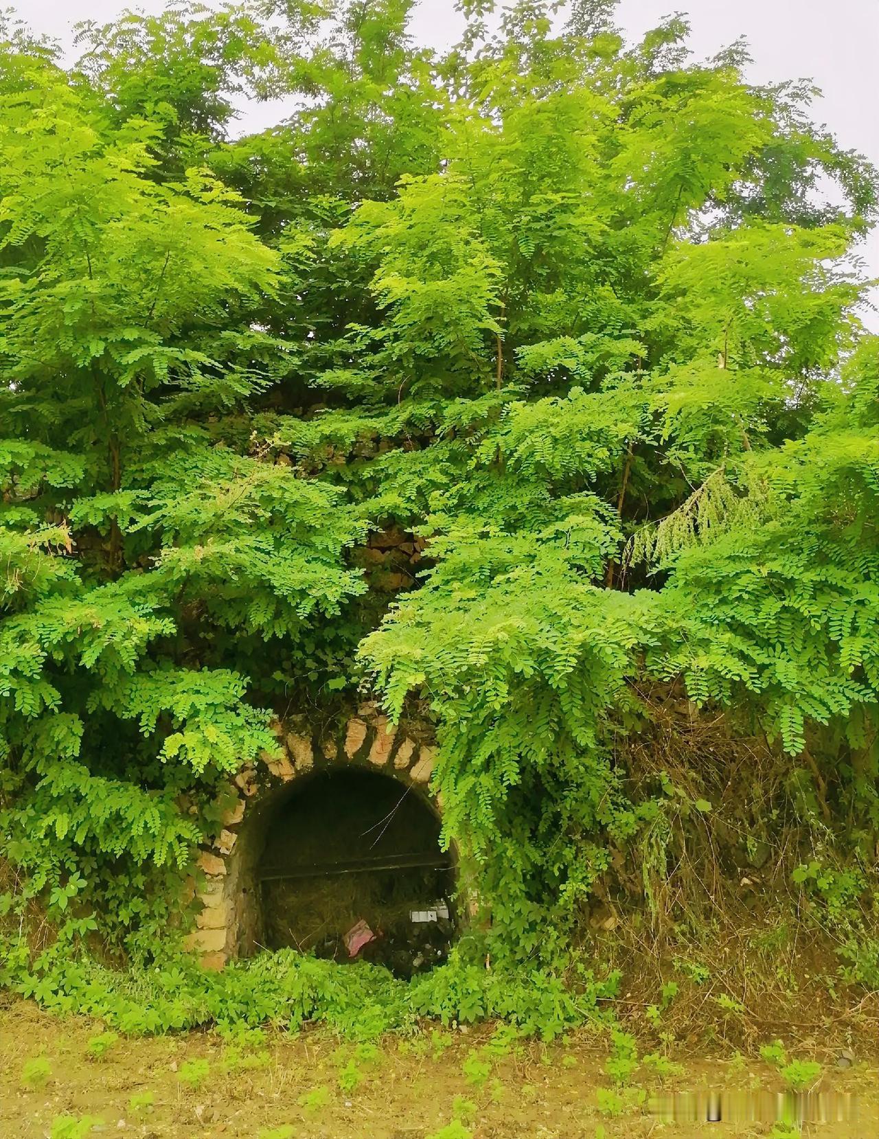 《小窑遗址（李林摄于汉中城固）》