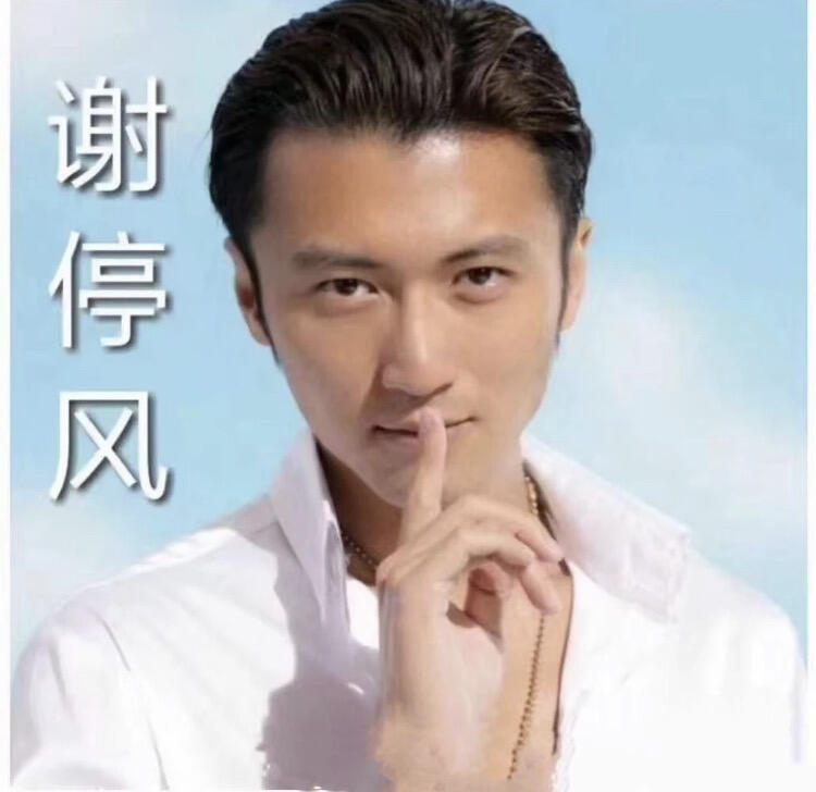 谢霆锋深圳演唱会排面谁能想到，追个演唱会看的我heart软软看谢霆锋的时候，旁边