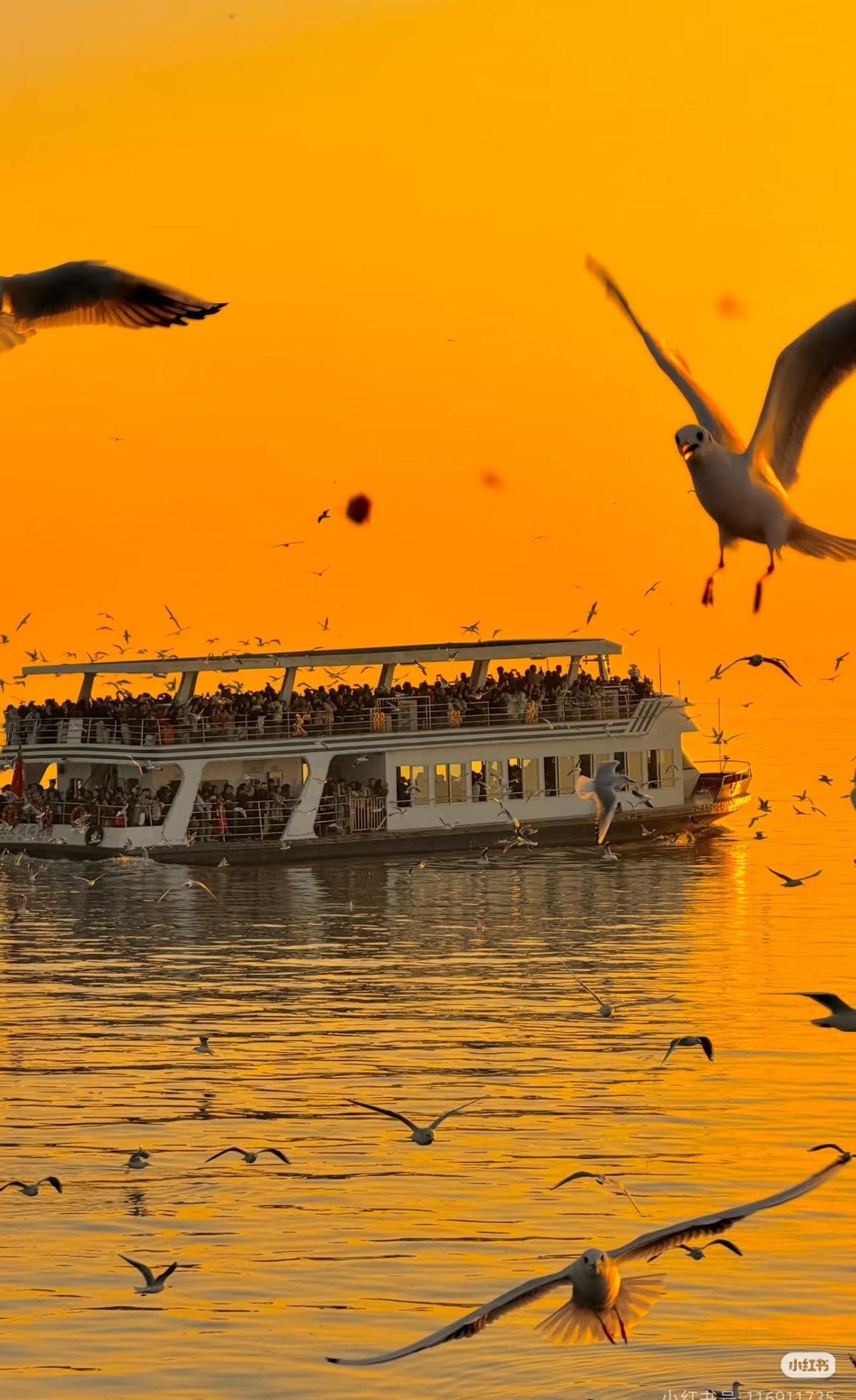 逢年过节发福利，老板宁愿塞给你个标价200块、死沉死沉的大礼包，也绝不肯直接转账