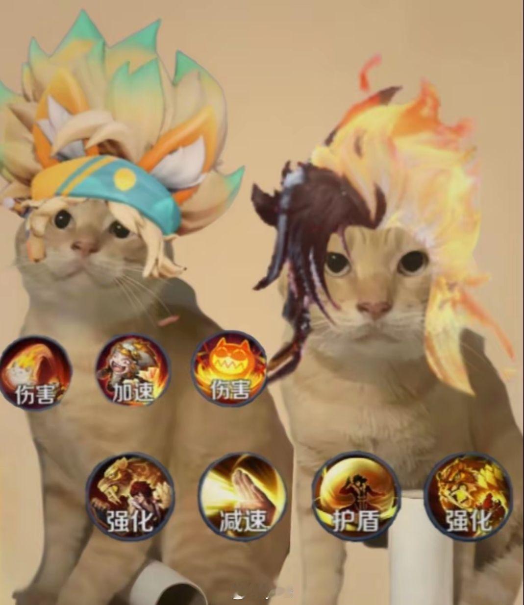 我们王者荣耀也有自己的猫爹这两只猫爹谁敢看一眼？[doge]王者五五开黑节峡谷变