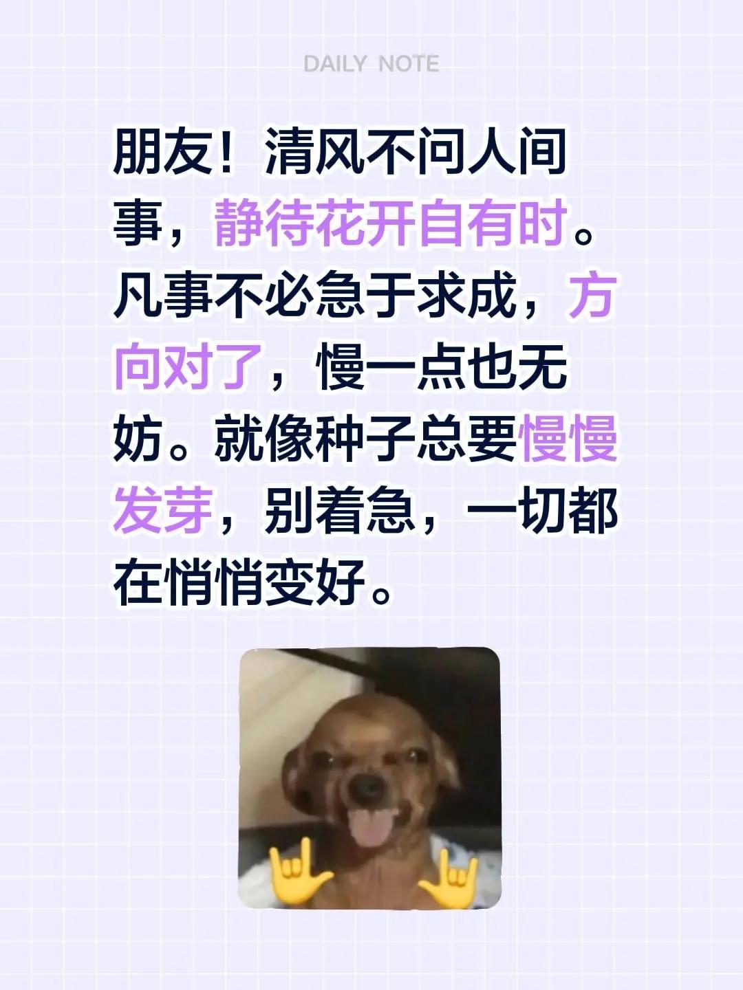 蓝光心里话。我评论了@KK 的作品：朋友！清风不问人间事，静待花开自有时。凡事不