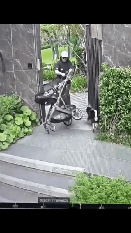 狗比自己的孩子还重要吗？
一女子推着婴儿车，牵着一条小狗外出，突然遇到一条大型犬