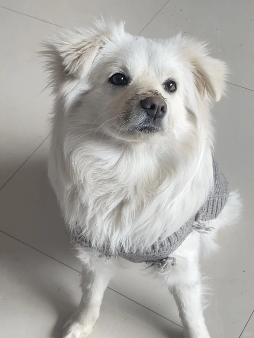 妈 我鬼混回来了