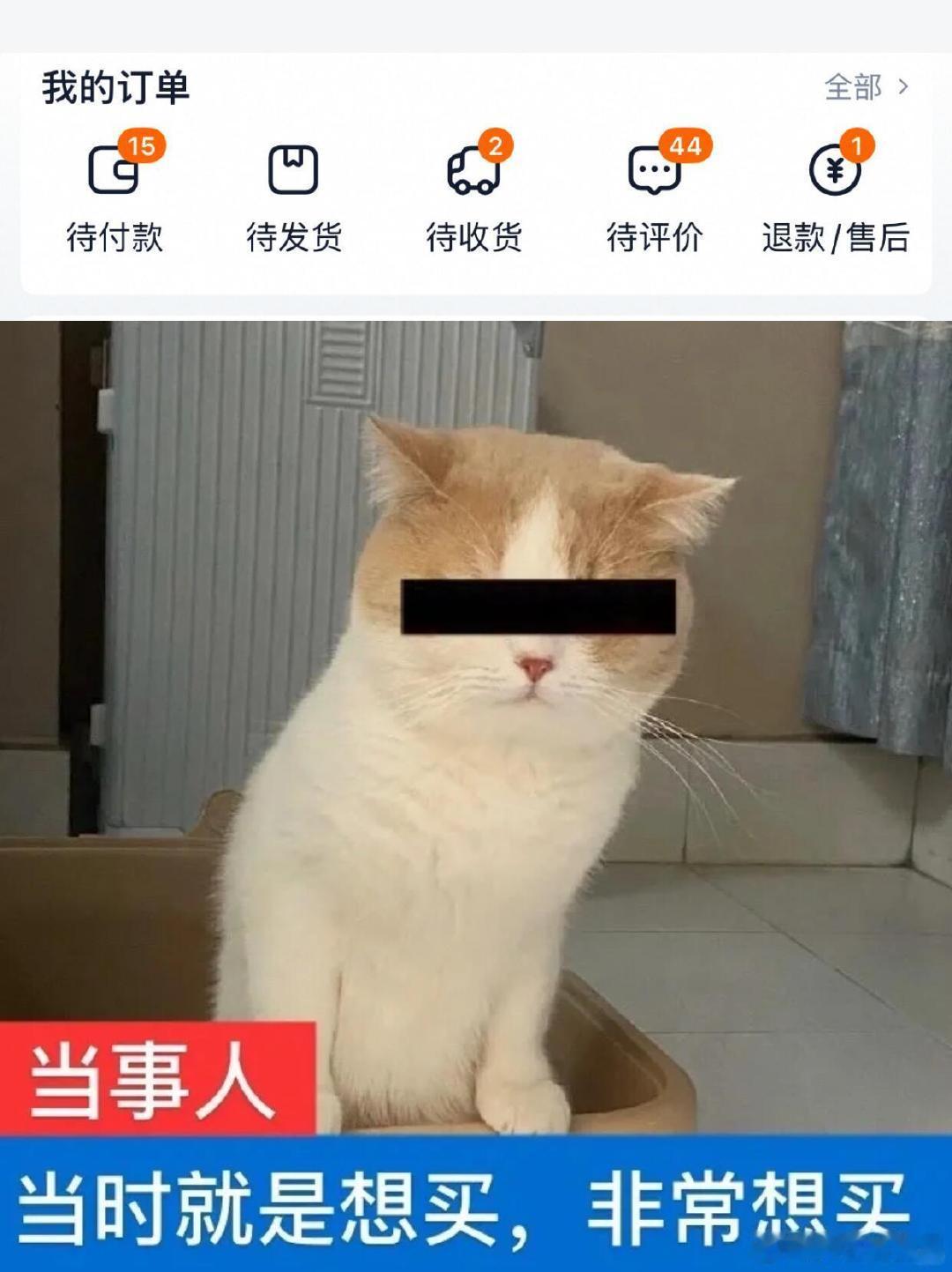 美妆界的“上海力量”太惊人！全国三分之一化妆品源自这里，产业创新筑牢品质根基，强