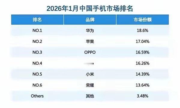 虽然美国举全国之力极限打压，但华为还是熬过了冬天，终于涅槃重生了！我总在想，要是